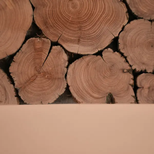 Панно с можжевельником Woodson 200*20, сборное